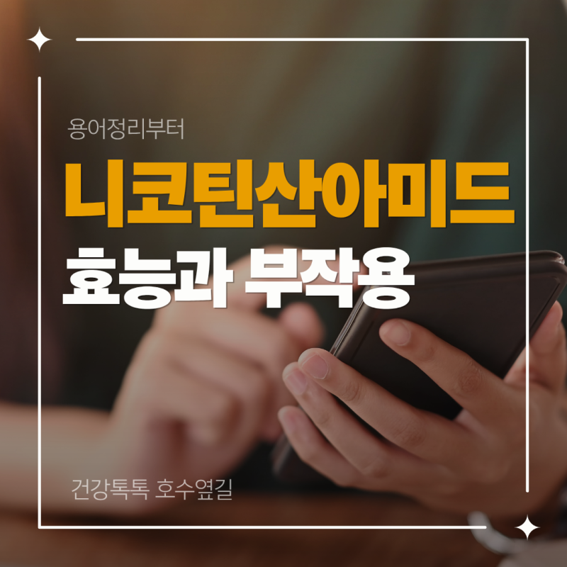 니코틴산아미드 효능과 부작용, 나이아신아마이드와 같은 성분일까?