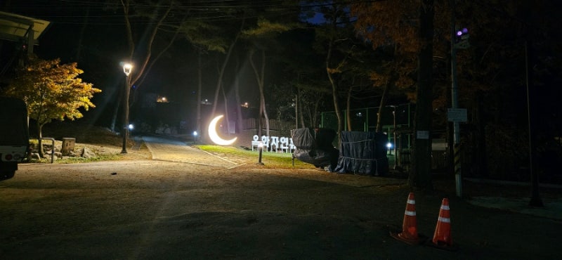 옥화 자연휴양림 잣나무 2024.11.13