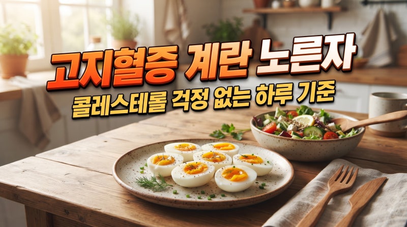고지혈증에 계란 노른자 먹어도 될까? 콜레스테롤 걱정 없는 하루 기준