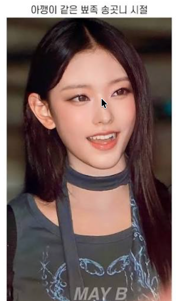 "라미네이트 뗀건가?" 뉴진스 해린, 다시 드러난 송곳니에 팬들 반응 폭발