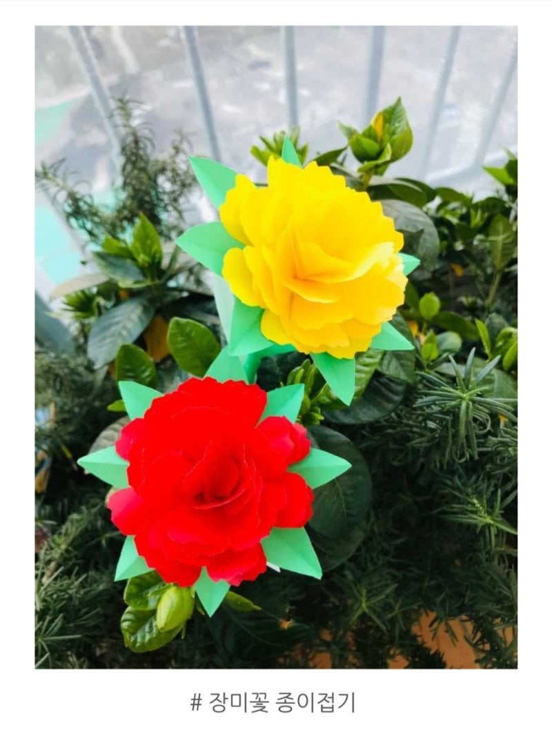 # 장미꽃 종이접기- 접기 방법 올려져 있습니다 15cm 종이로 접습니다