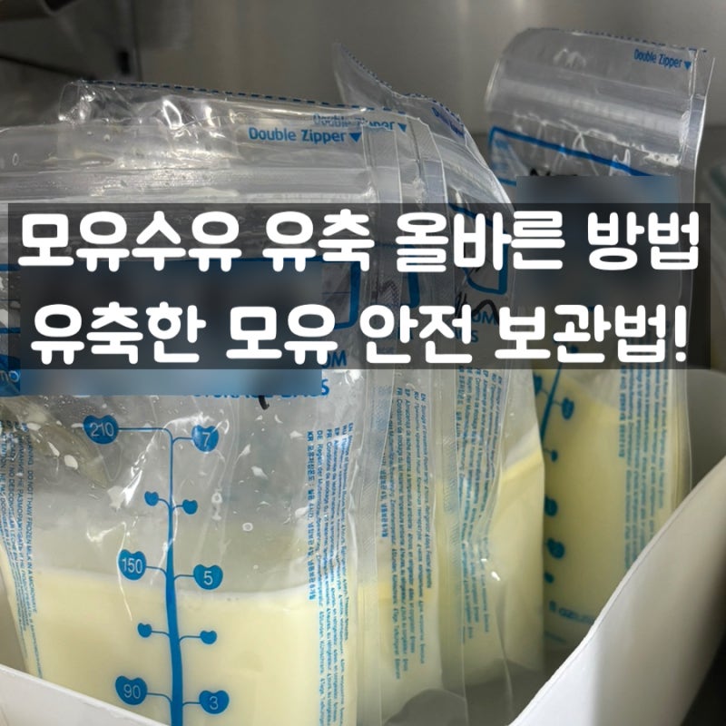 신생아 모유수유 올바른 유축기 사용법 및 모유 보관 방법 총정리~!