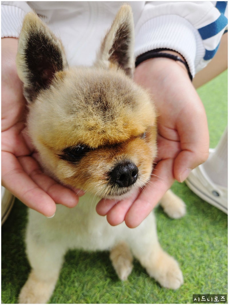 충남 투어패스 36시간 내 돈 내산 태안부터 보령까지 알차게 돌아본 리뷰
