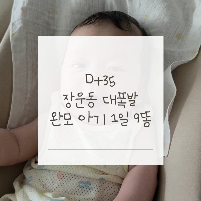 D+35일(2) | 5일 변비 끝에 찾아온 기저귀 대란! 신생아 모유수유 1일 9똥 실화인가요?
