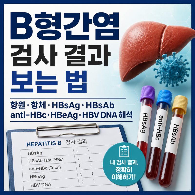 B형간염 검사 결과 보는 법｜항원·항체·HBsAg·HBsAb·anti-HBc·HBeAg·HBV DNA 해석
