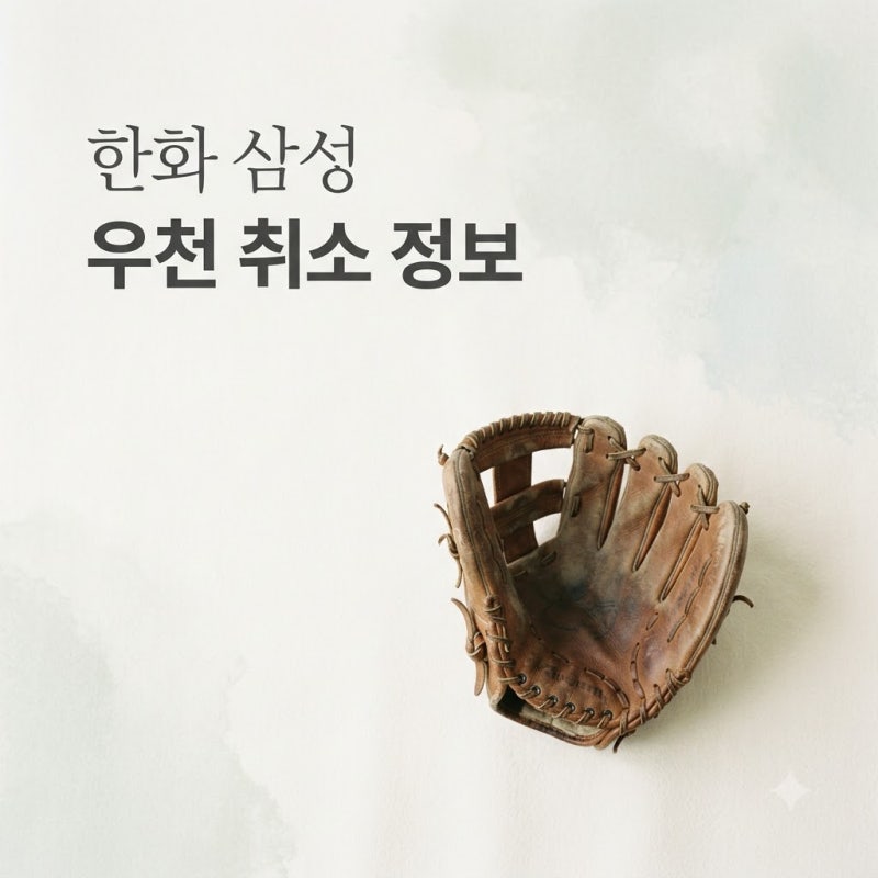 2026년 08월 16일 한화 이글스 삼성 라이온즈 경기 우천 취소 소식 정리