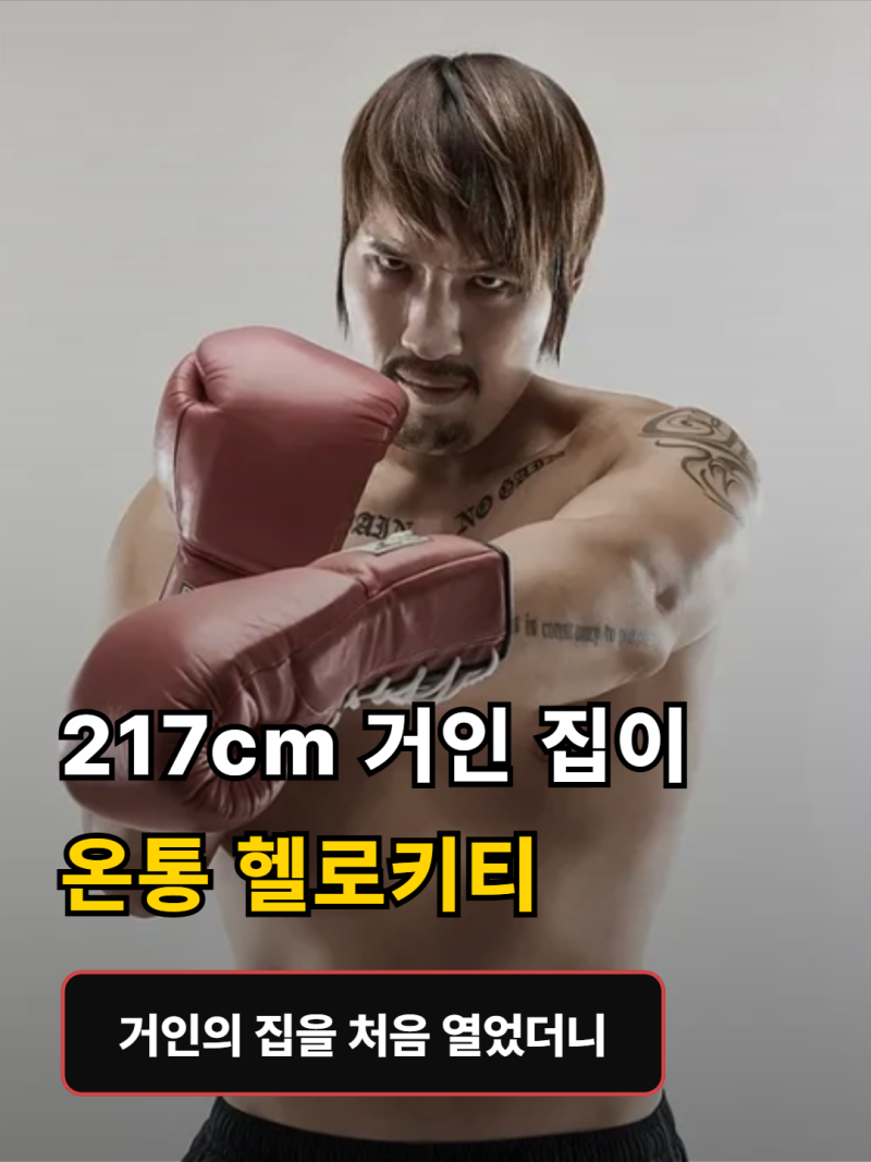 "이 친구 없었으면 못 살았어요"…217cm 거인 최홍만 서울 집 열었더니 '여중생 방'