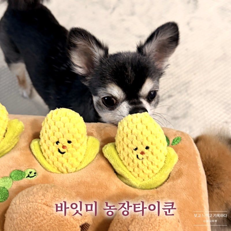 강아지 노즈워크 장난감 추천 바잇미 농장타이쿤 후기