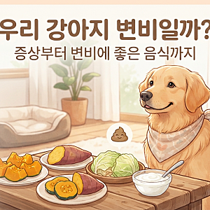 우리 강아지 변비일까? 증상부터 변비에 좋은 음식, 예방법까지 총정리!