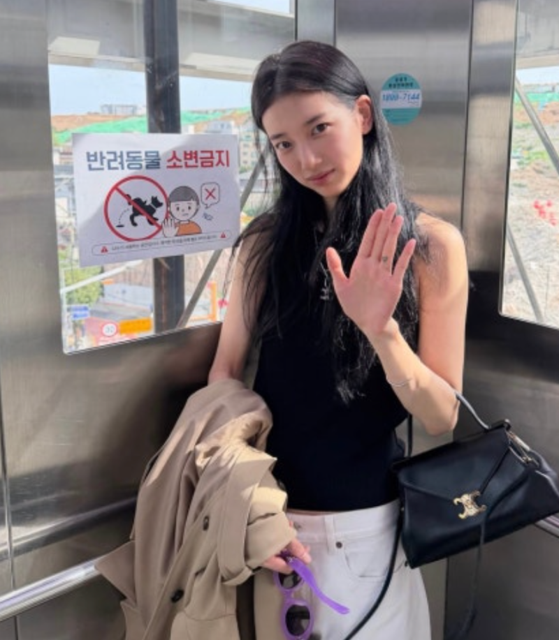 “이 가방 뭐지?” 수지 인스타에서 발견한 셀린느 신상백, 가격 공개