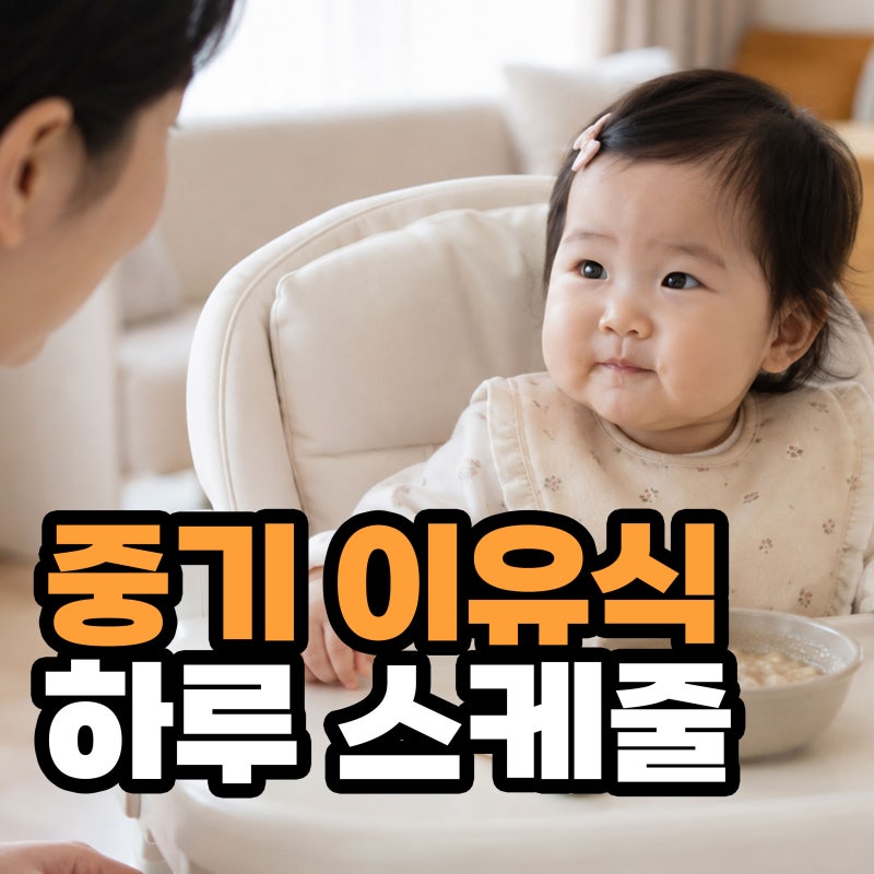 중기 이유식 스케줄, 하루 2끼 분유 시간과 이유식 양은?