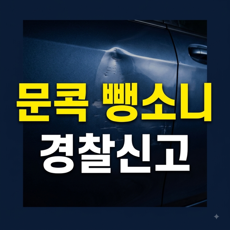 주차장 문콕 뺑소니 신고방법 가해자 연락처 없을 때 경찰 접수 및 보상받는 법(+보험처리 수....