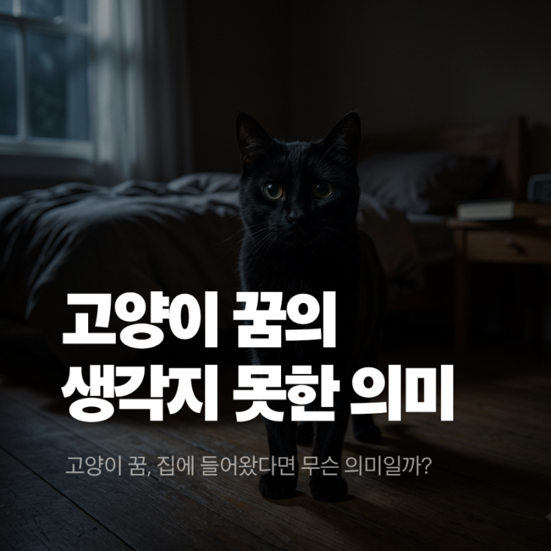 고양이 꿈해몽, 그냥 지나치면 아쉬운 꿈속 장면별 의미
