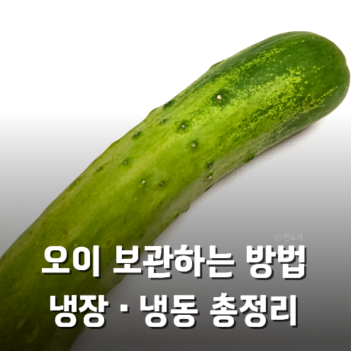 오이 보관법 무르지 않게 신선하게 냉장 냉동 보관하는 방법