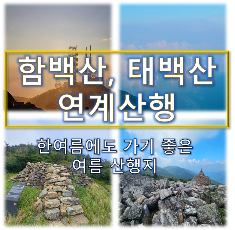 함백산 태백산 연계산행 | 만항재 일출부터 장군봉, 천제단까지 1일 2산