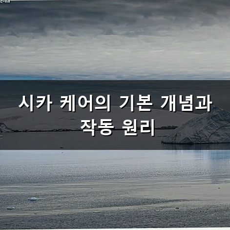 시카 케어 사용법과 관리 과정에 대한 정보