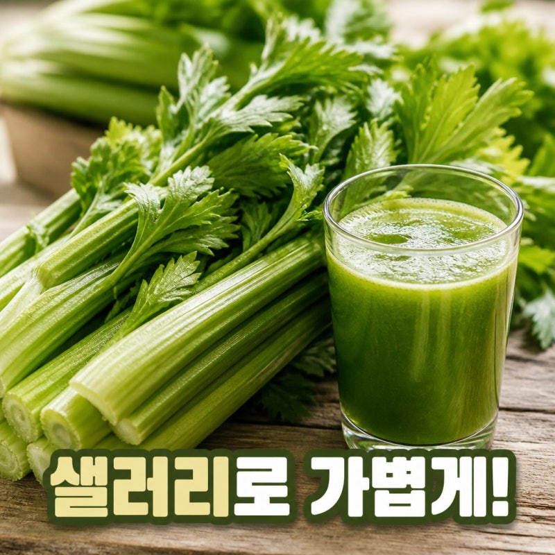 샐러리효능 다이어트와 먹는법까지 한눈에