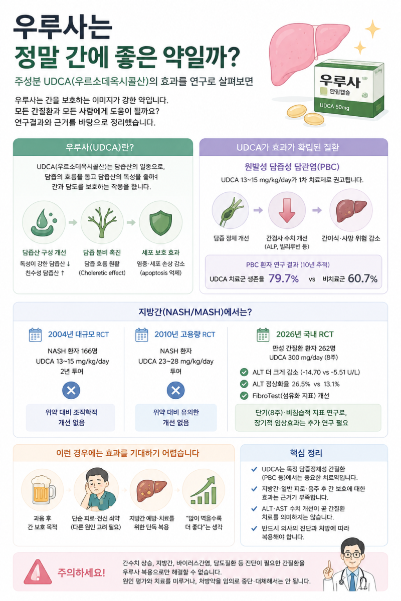 우루사는 정말 간에 좋은 약일까?