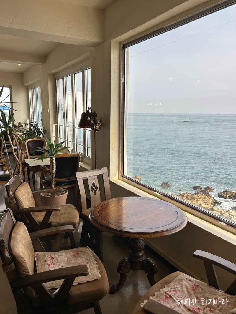 Haeundae Cheongsapo Cafe White Rock | A Great Ocean View Spot Near Daritdol Observatory