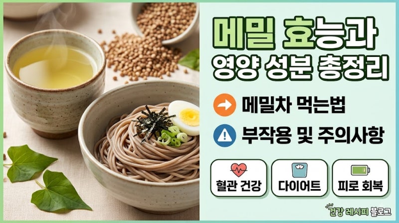 메밀 효능과 영양 성분 총정리: 메밀차 먹는법과 부작용 및 주의사항