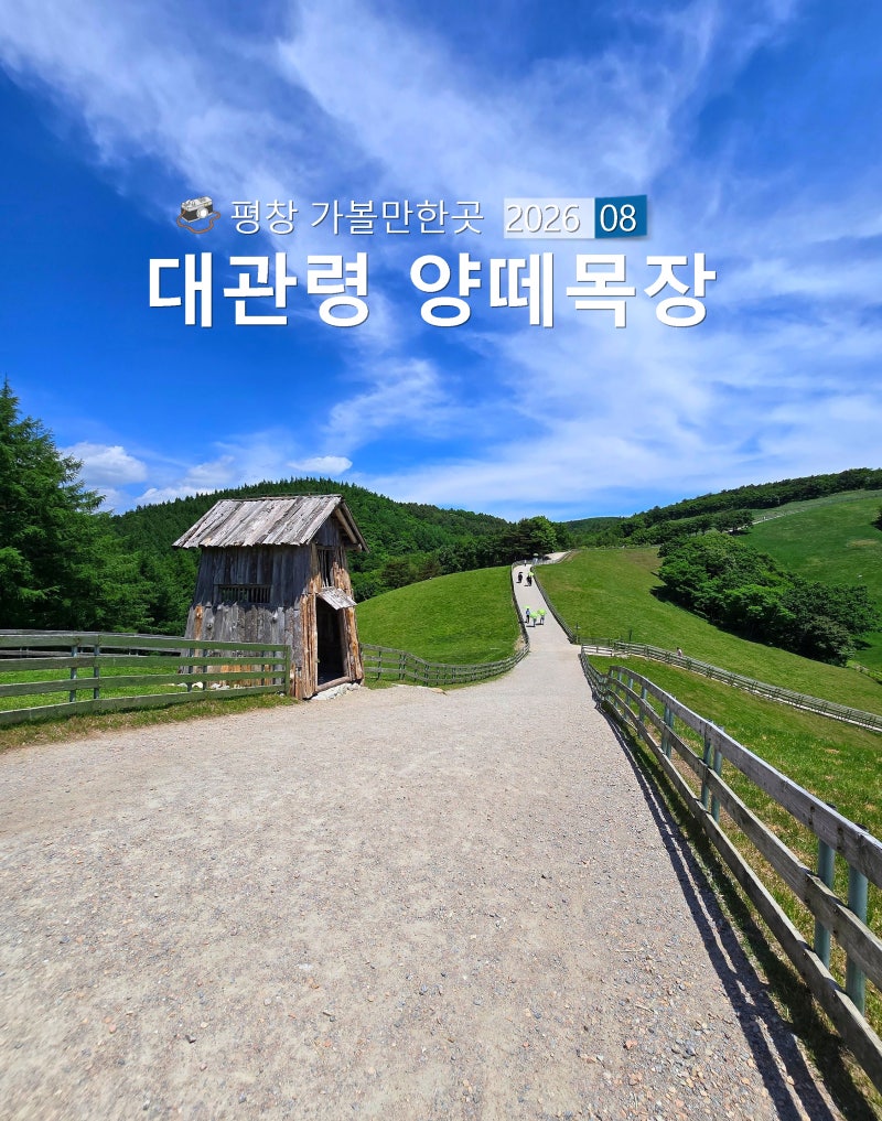[평창] 대관령 양떼목장 평창 가볼만한곳 평창 대관령 양떼목장 CNN 한국 50곳 영화 '화성으로 ....