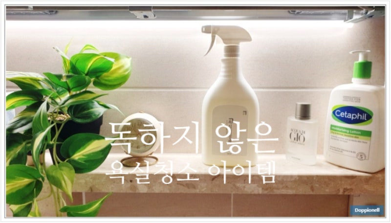 독하지않은 욕실청소 하수구 변기세정제, 4년째 사용중