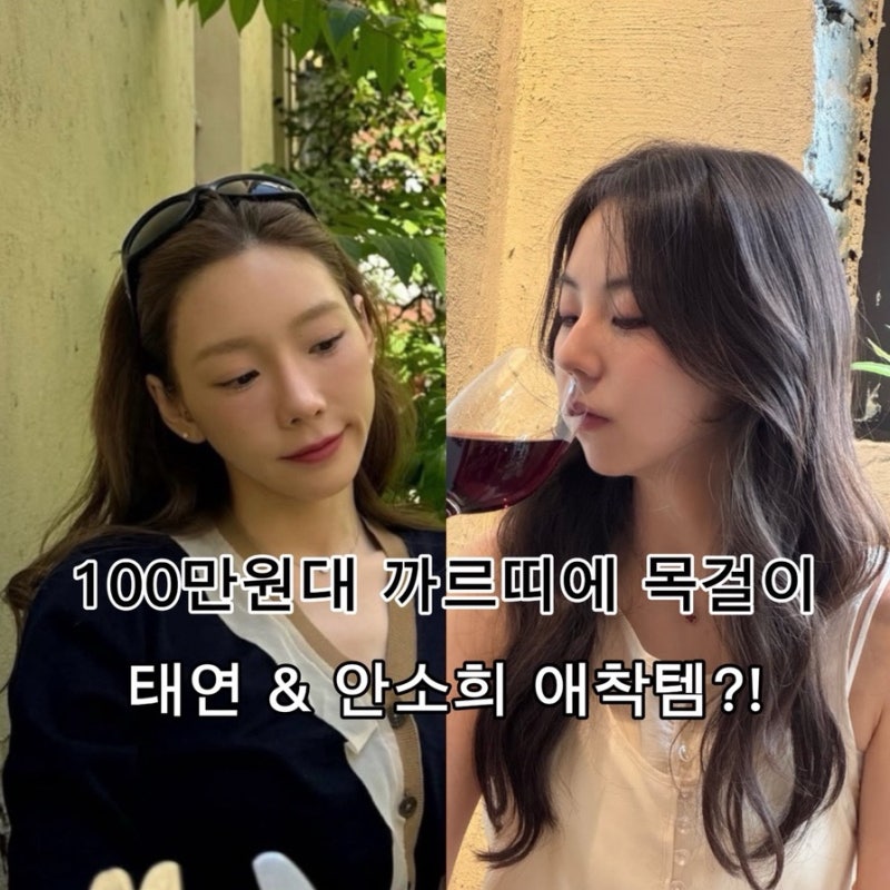100만원대 까르띠에 입문템? 안소희 태연 데일리 목걸이 정체