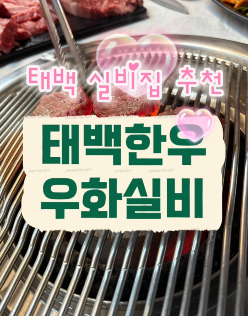[강원] 태백 소고기, 유명하다는 실비식당 갔다가 돈만 날린 분들 꼭 보세요! 찐 맛집 소개합....