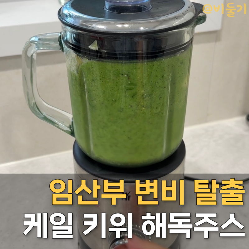 철분제먹어도 하루에 2번씩 화장실 가는 임산부 변비 해결 주스