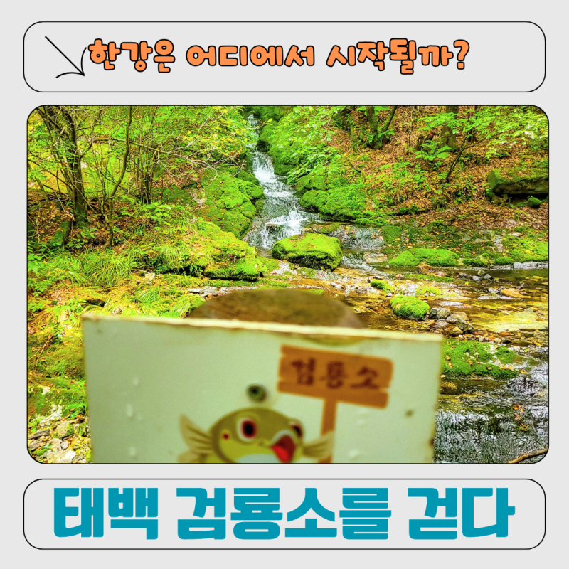 태백 가볼 만한 곳 한강 발원지 검룡소｜직접 다녀 온 여름 계곡 여행부터 가을 단풍 트래킹....