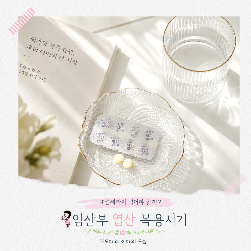 임산부 엽산 복용시기 언제까지? 권장량 총정리