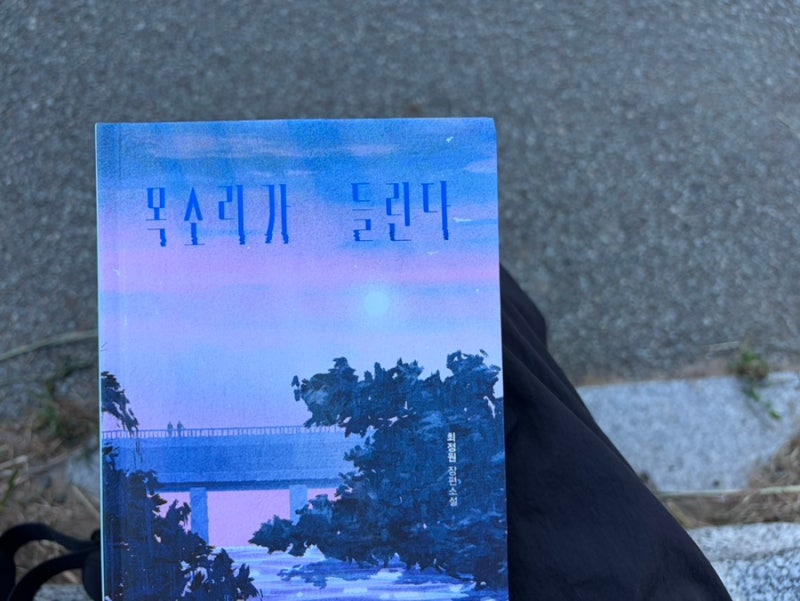 『허밍』 최정원 작가님의 후속작! 끝내 서로 포기하지 않는 마음 『목소리가 들린다』
