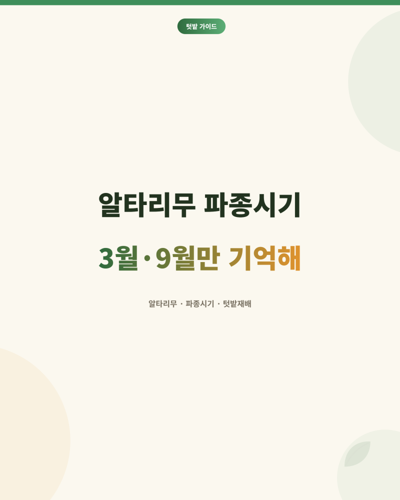 알타리무 파종시기 3월·9월, 이 두 달만 기억해