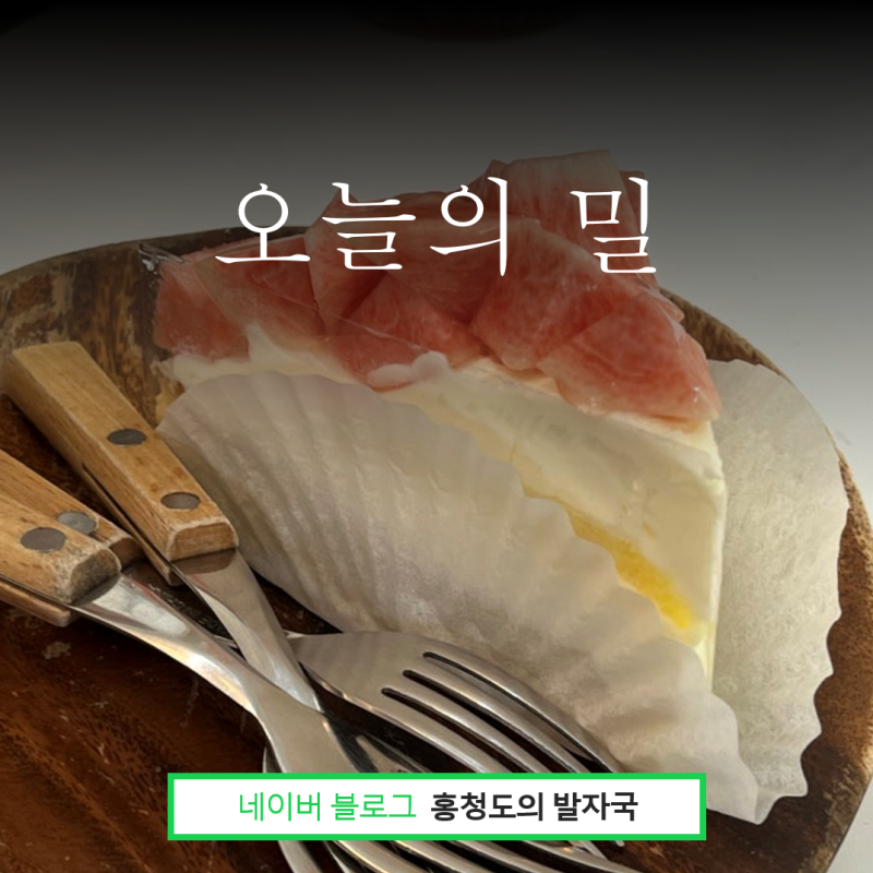서울 목동 오목교역 빵집 강력추천 재방문 꼭 필요한 베이커리 맛집 오늘의 밀(feat.포장)