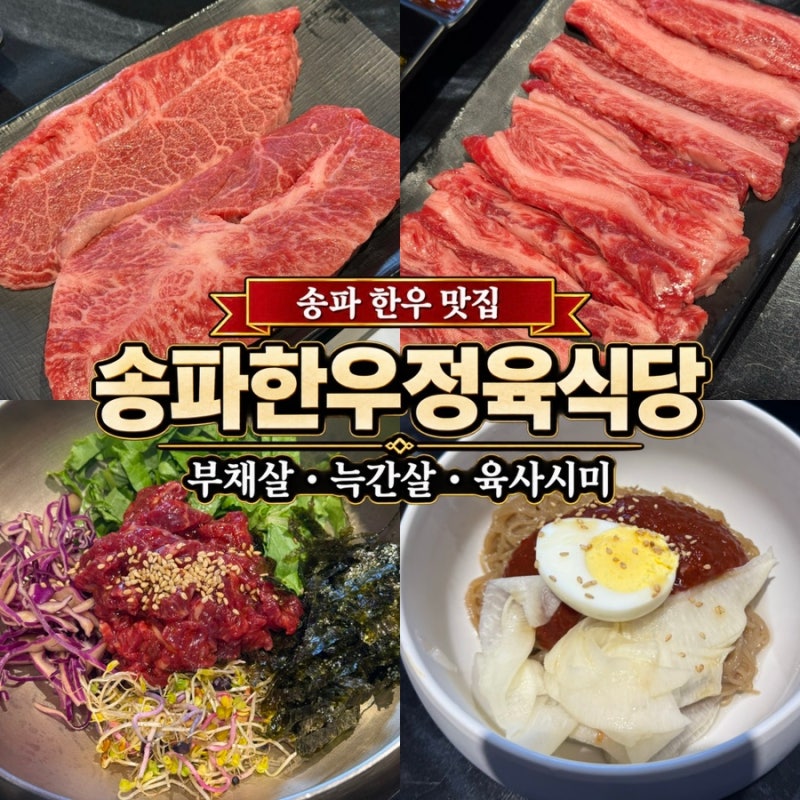 석촌고분역 맛집 송파한우정육식당 | 석촌호수 점심 가성비 한우 부채살 늑간살 육사시미까....