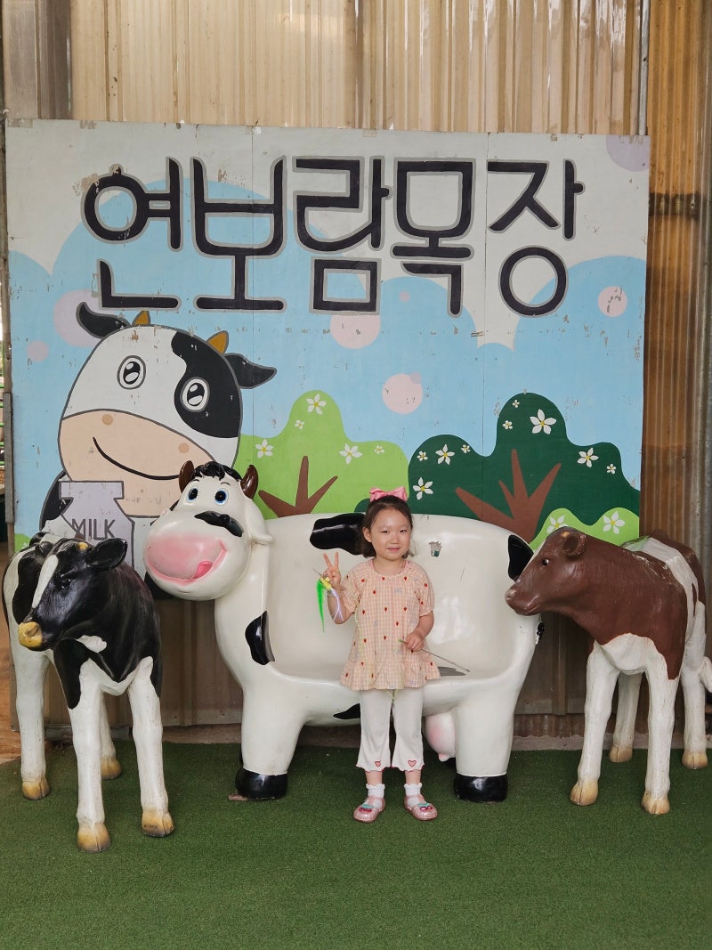김포 아이랑 갈만한곳 -연보람목장 체험 후기