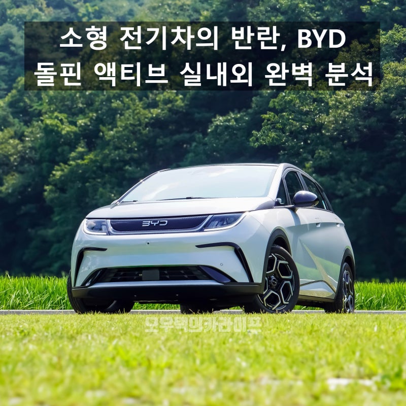 "소형차의 한계를 넘는 전기차" BYD 돌핀 액티브 실내외 완벽 분석