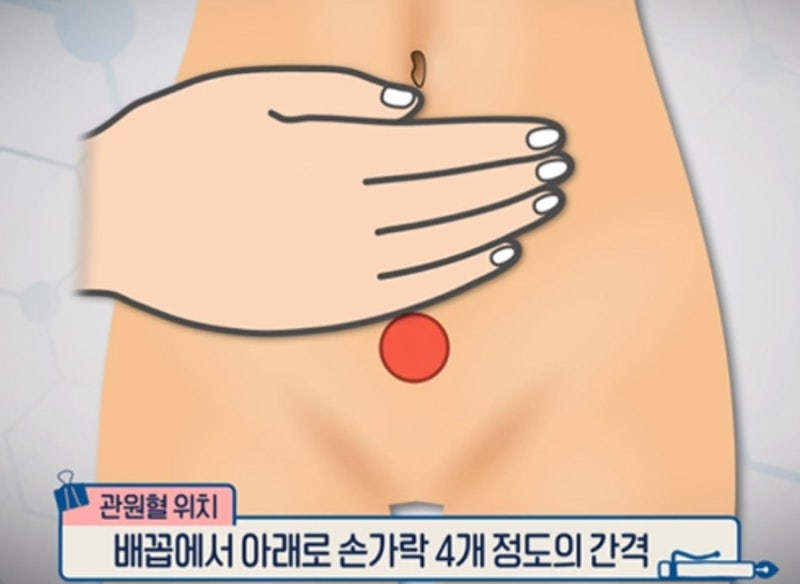[건강정보] 몸의 원기를 회복하는 핵심 혈자리, 관원혈(CV4) 위치와 효과총정리 (하단전 지압....
