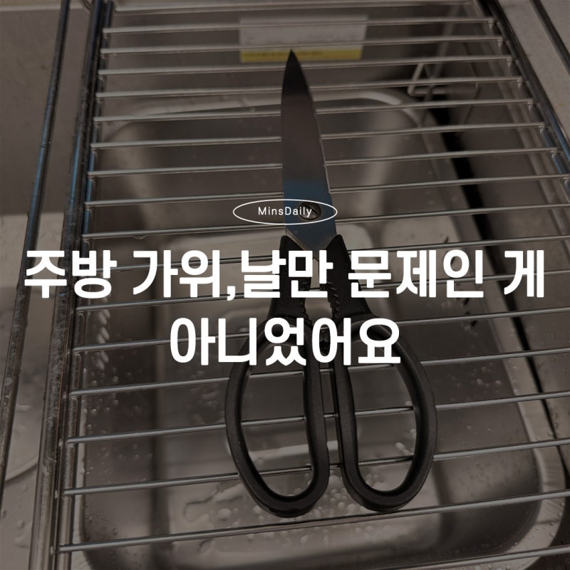 주방 가위 안 잘리는 이유, 관리법만 바꿨는데 확 달라졌어요