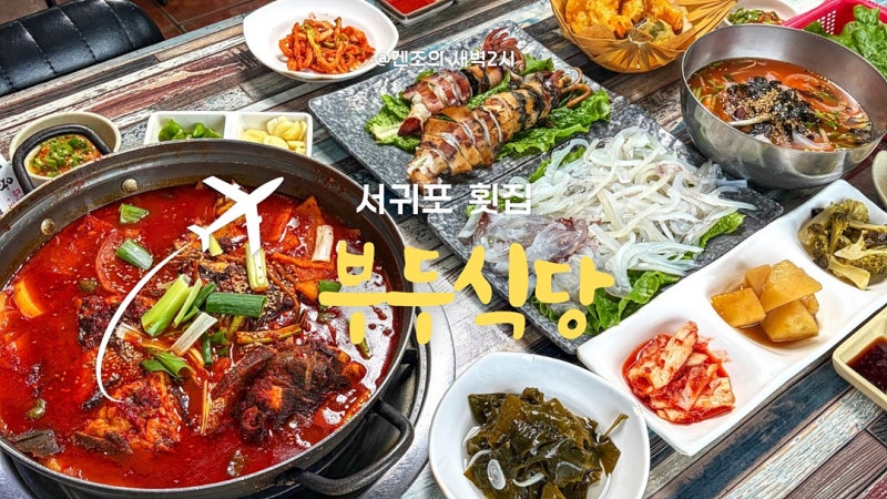 서귀포 횟집 한치 고등어회 제주횟집