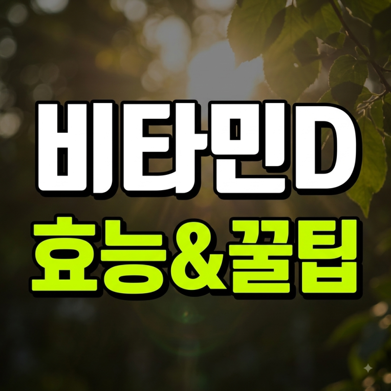 비타민D 효능 핵심정리! 아연과의 시너지 효과 및 권장 섭취 시간