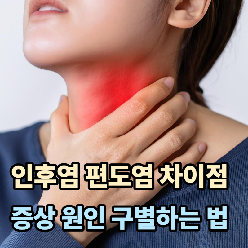 인후염과 편도염 차이점...증상·원인부터 구별하는 방법까지