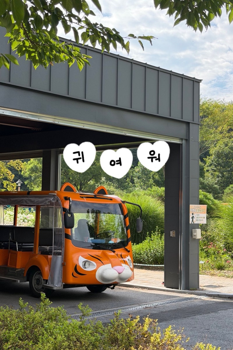 안동 아이와 가볼 만한 곳 봉화 국립백두대간수목원 호랑이숲 방문