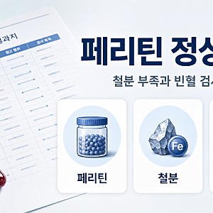 페리틴 정상수치, 철분 부족과 빈혈 검사 차이 쉽게 정리