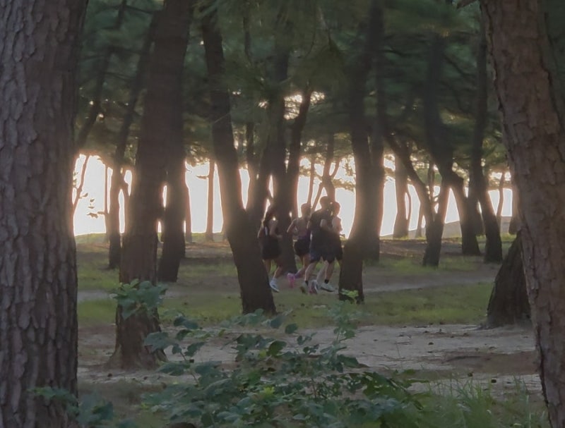 강릉여행 러닝코스 추천-강문해변 경포호수 러닝코스