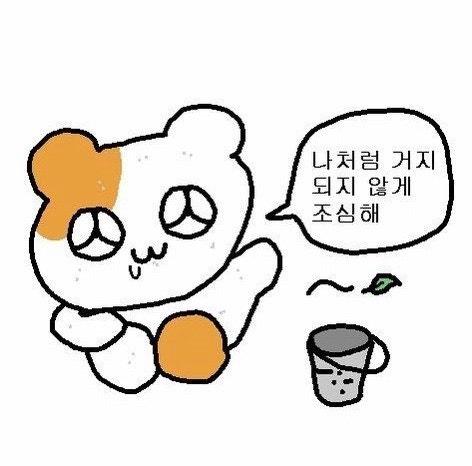겨울쿨톤 립추천