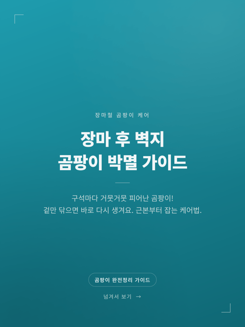 2026 집안 벽지 곰팡이 확실한 제거 및 베란다 결로 예방법 (+원인 청소 습기)