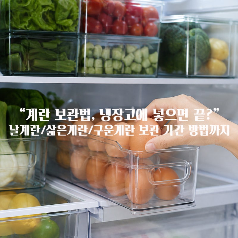 계란 보관법, 냉장고에 넣으면 끝? 삶은계란 구운계란 보관 기간 방법까지