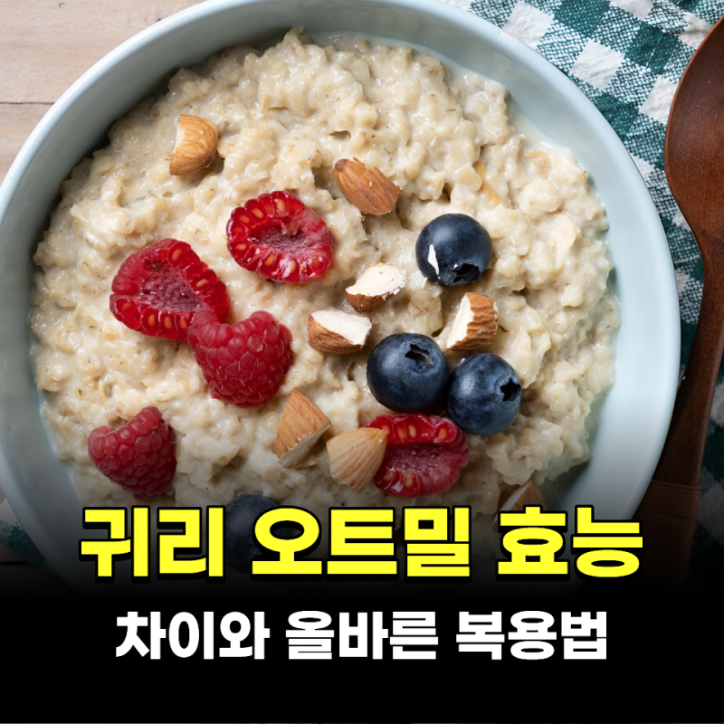 귀리 오트밀 효능 차이와 올바른 복용법