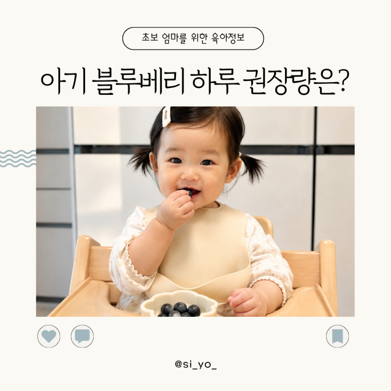 아기 블루베리 하루 섭취량은? 기도 막힘 없이 먹이는 방법